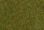 Faller Fibres de flocage herbes sauvages